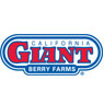 f13/calgiant.jpg