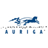 f2/auriga.jpg