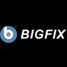 f2/bigfix.jpg
