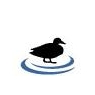 f2/blackducksoftware.jpg