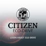 f3/citizenwatch.jpg