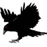 f4/blackravenenergy.jpg