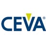 f4/ceva_dsp.jpg