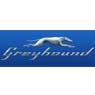 f6/greyhound.jpg