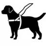 f6/guidedog.jpg